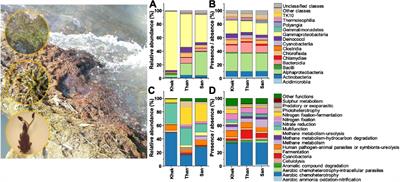 Life on the Rocks: First Insights Into the Microbiota of the Threatened Aquatic Rheophyte Hanseniella heterophylla